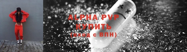 СК Медвежьегорск