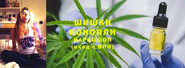 СК Медвежьегорск