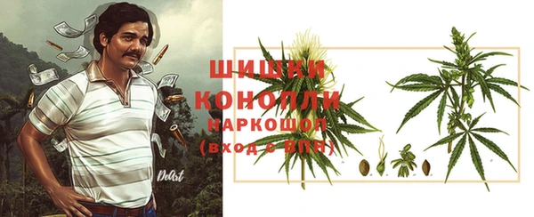 СК Медвежьегорск