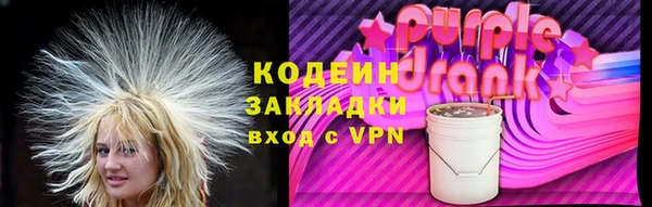 СК Медвежьегорск