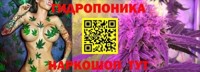 дживик Бийск