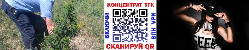 Дистиллят ТГК Wax  Заводоуковск 