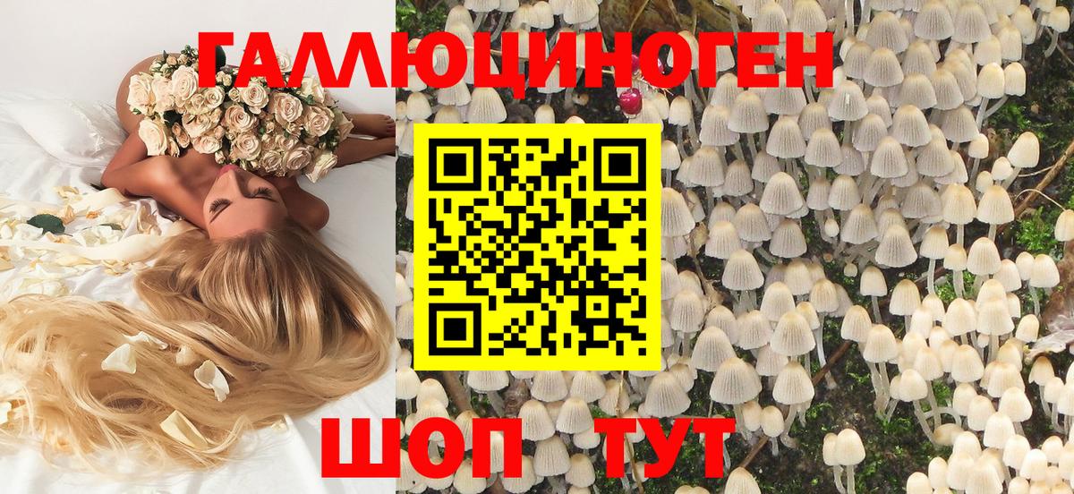 Галлюциногенные грибы ЛСД Заводоуковск