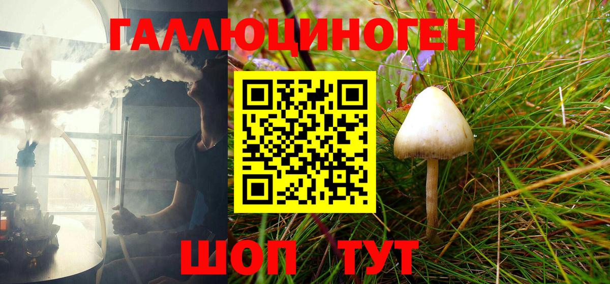 Псилоцибиновые грибы Cubensis Заводоуковск