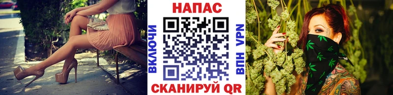 Бошки марихуана MAZAR  купить наркотики цена  Заводоуковск 